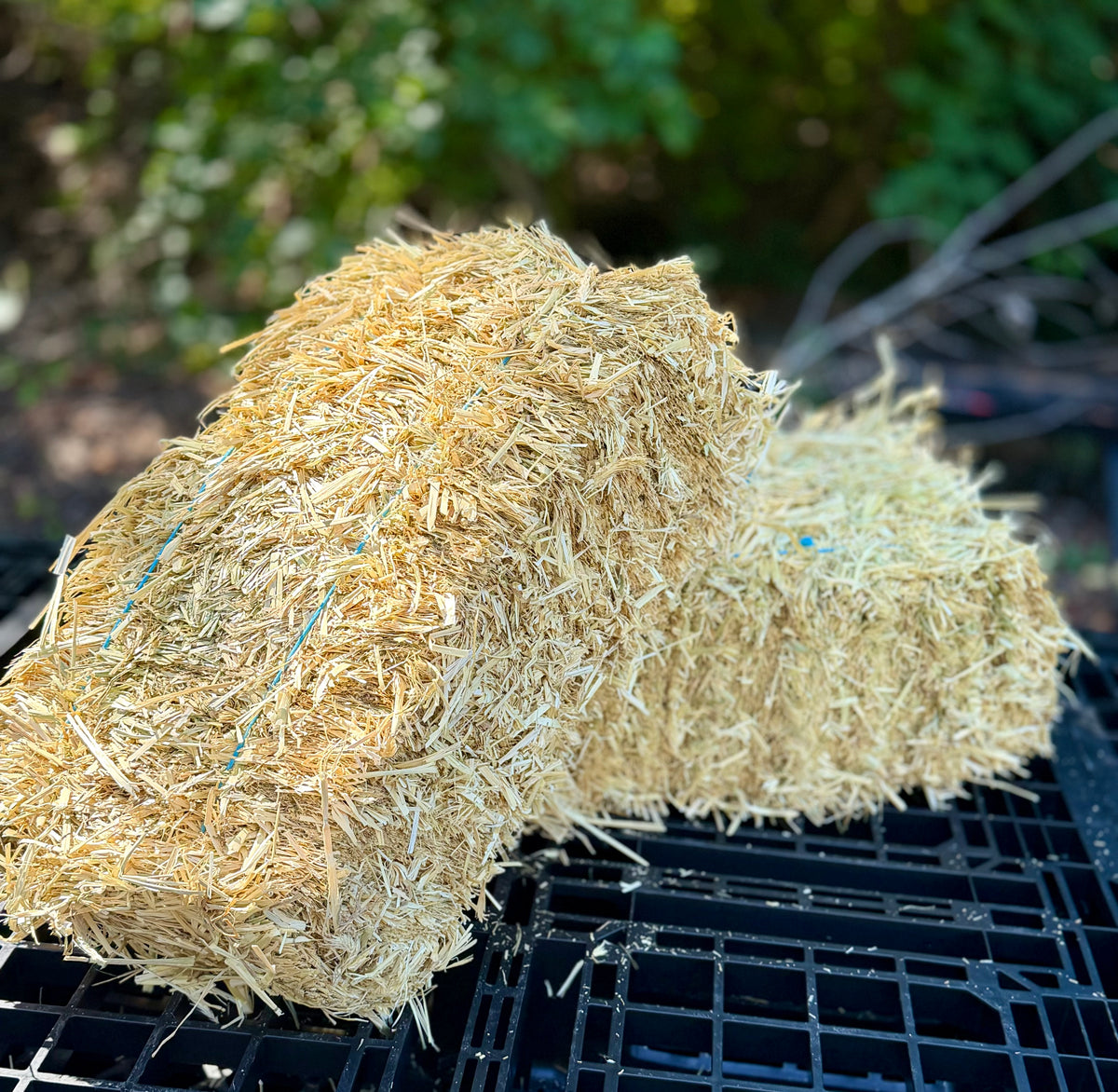 Mini Straw Bales — Fall Porch Décor