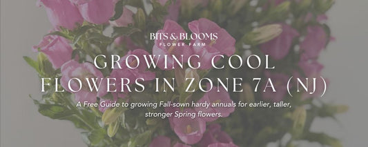 Cool Flowers: The Hardy Annuals I’m Sowing This August for My Best Spring Blooms (Free Zone 7 Guide)