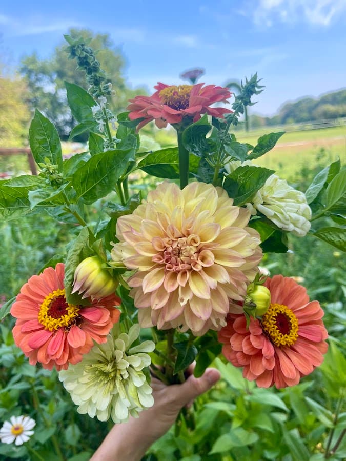 Fresh Flowers & Bouquets