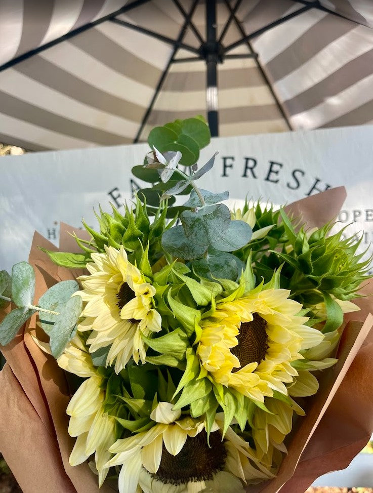 2026 Flower Subscriptions