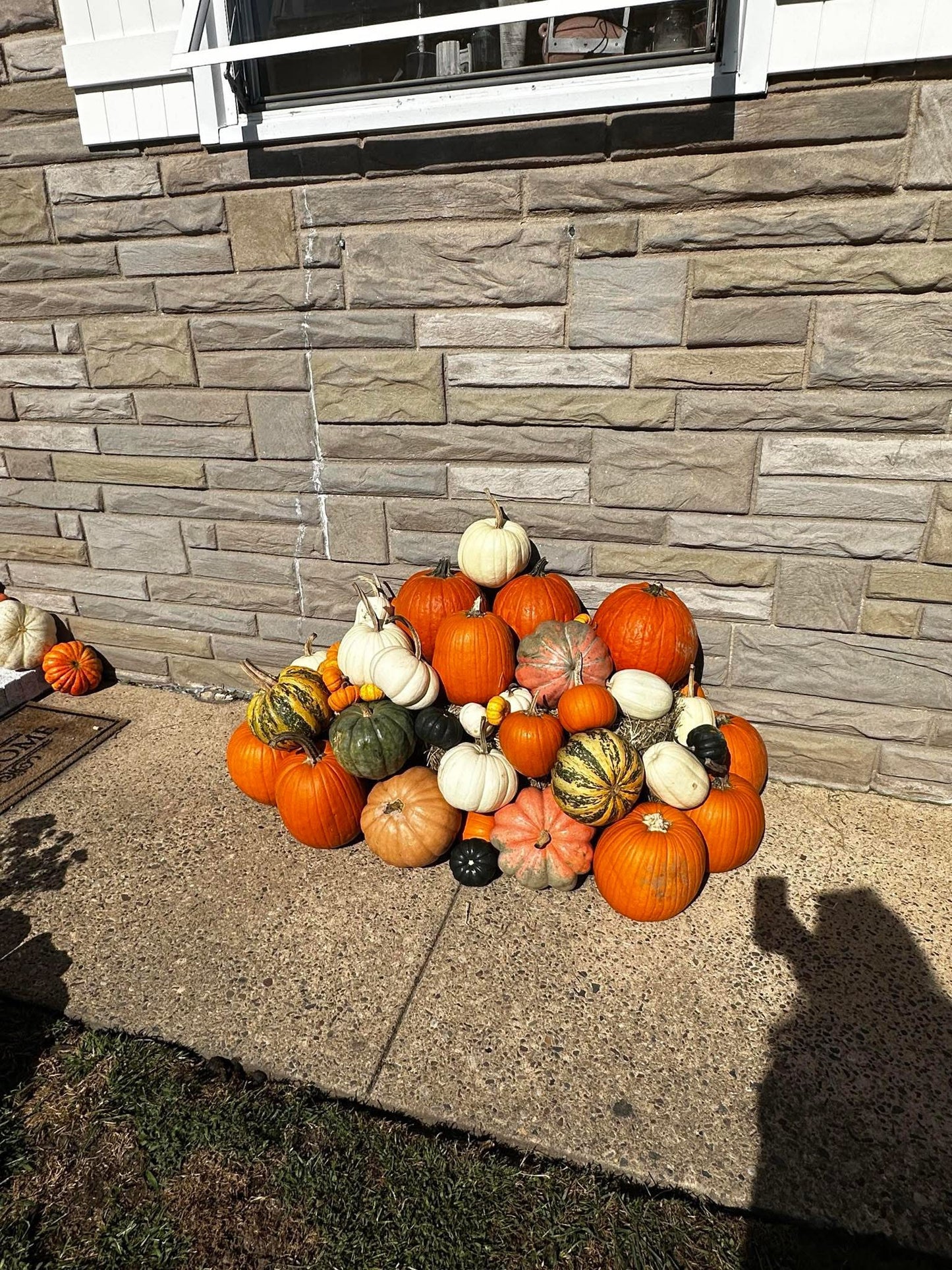 The Grand Entrance Pumpkin Bundle + FREE Delivery/Installation