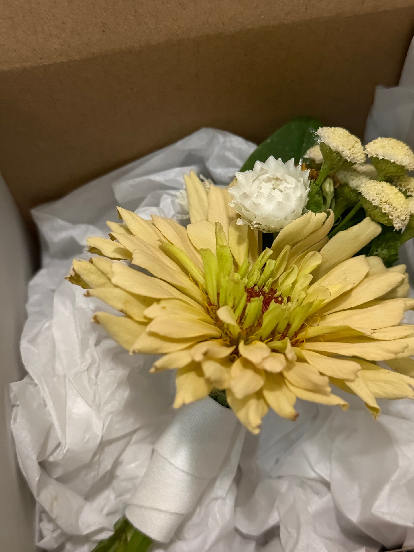 Boutonniere