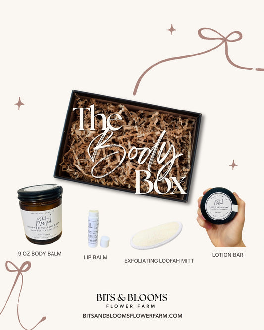 The Body Box — Holiday Tallow Skincare Gift Set