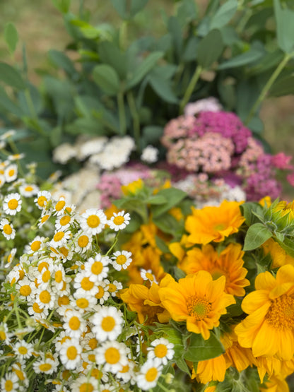 Bulk Bloom Bucket — Fresh Seasonal Flowers (Farm Pickup)