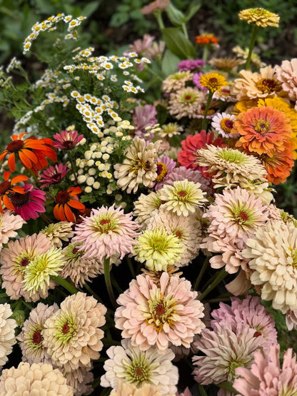 Bulk Bloom Bucket — Fresh Seasonal Flowers (Farm Pickup)