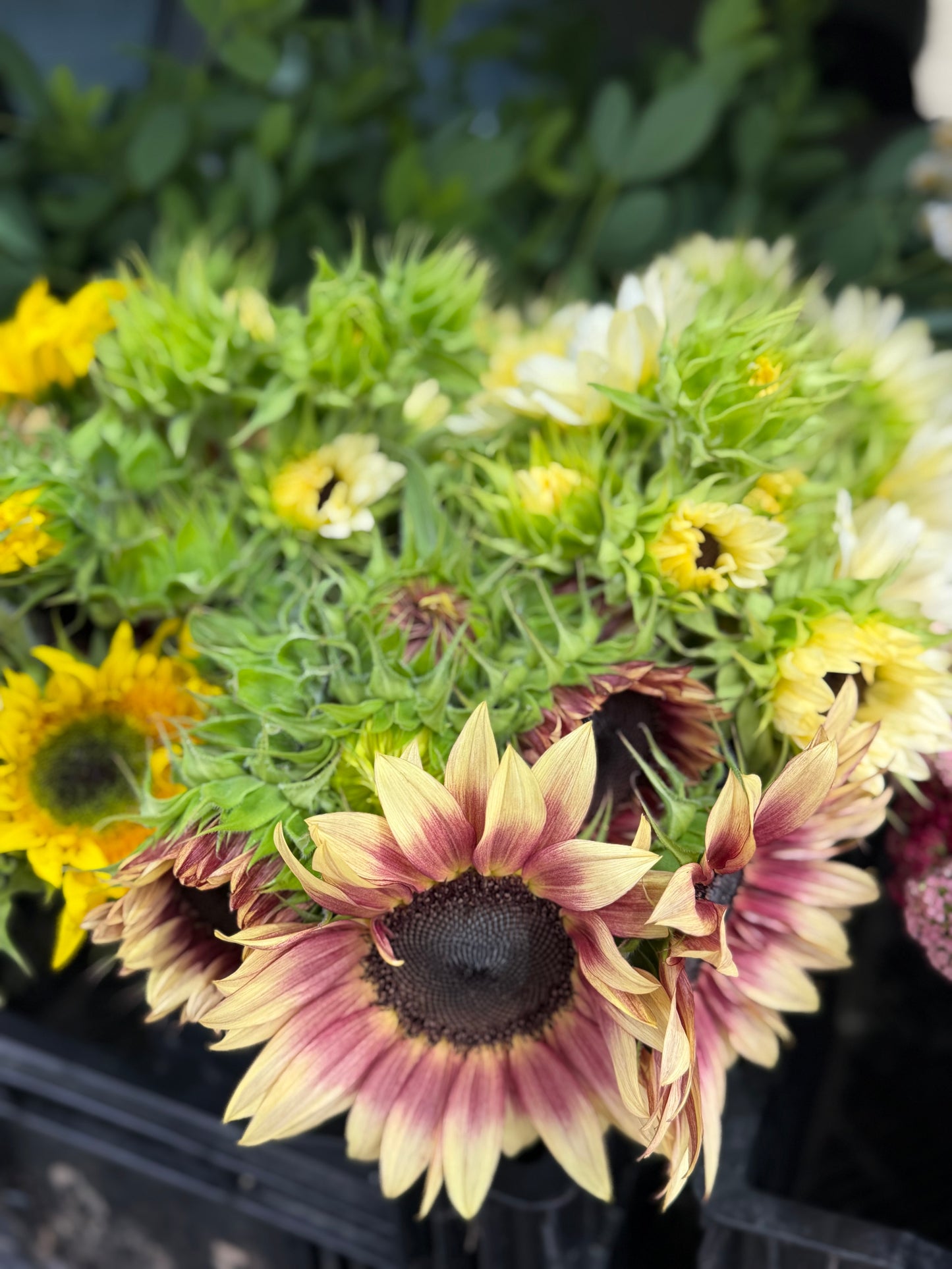 Bulk Bloom Bucket — Fresh Seasonal Flowers (Farm Pickup)