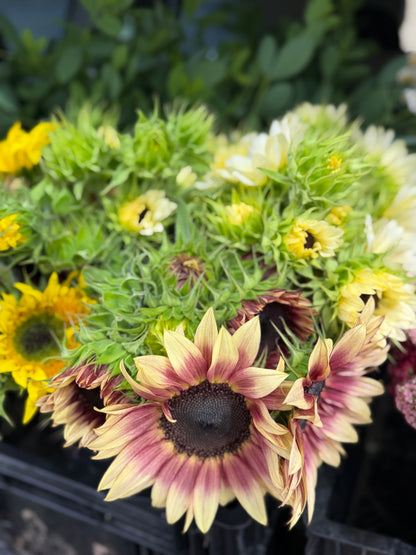 Bulk Bloom Bucket — Fresh Seasonal Flowers (Farm Pickup)