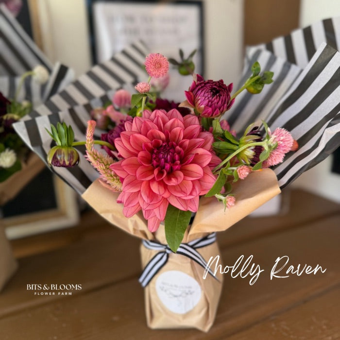 Molly Raven Dahlia Tuber