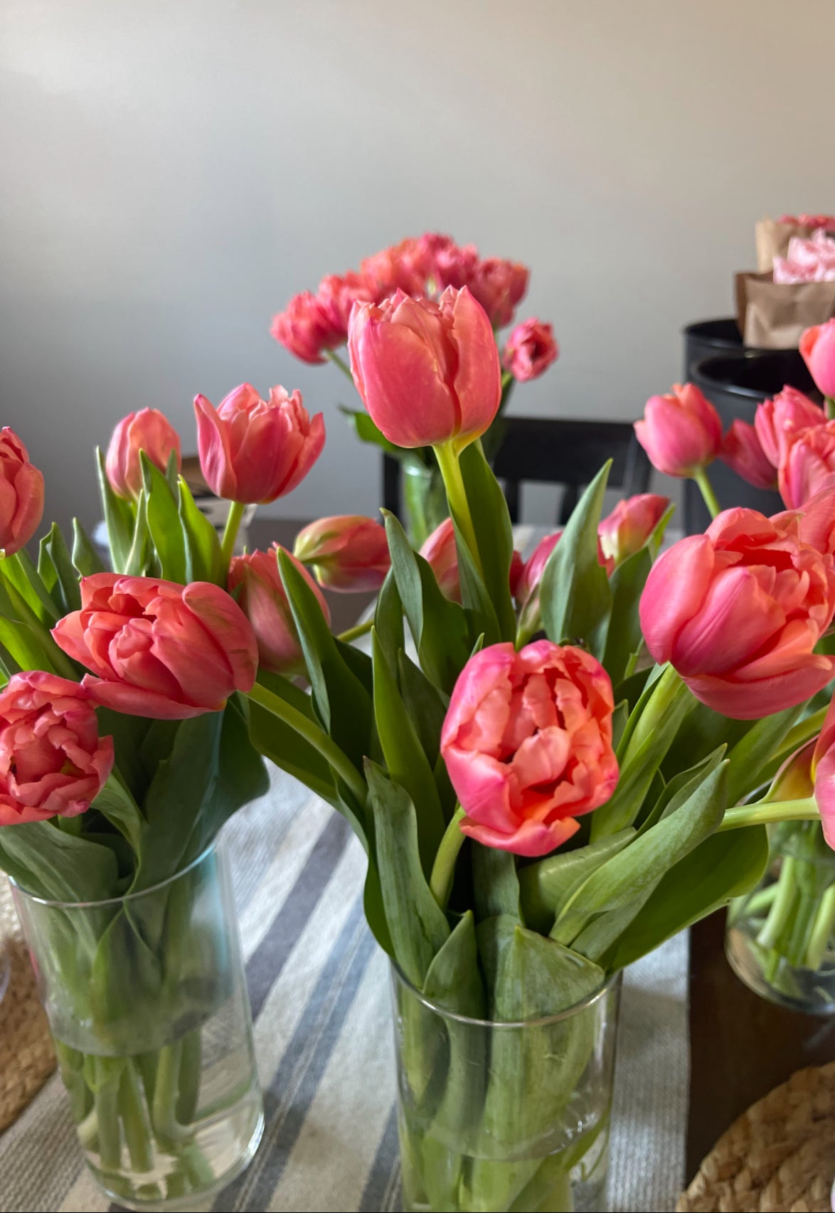 Specialty Double Peony Tulip Bulbs — 10-Bulb Pack