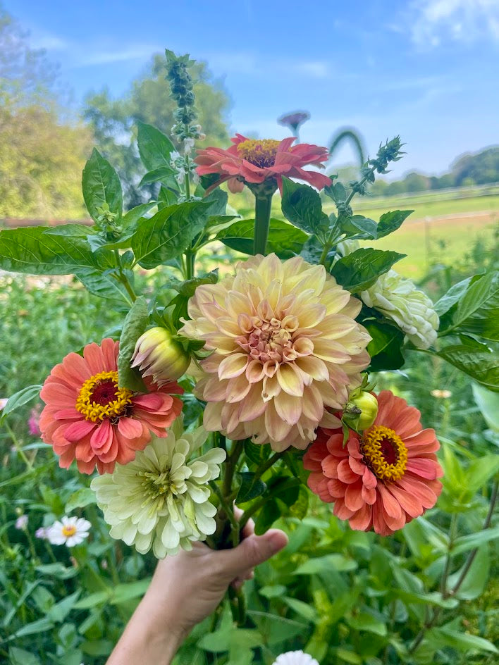 Peak Summer Flower Subscription (4 Weeks)