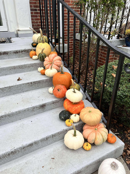 The Grand Entrance Pumpkin Bundle + FREE Delivery/Installation