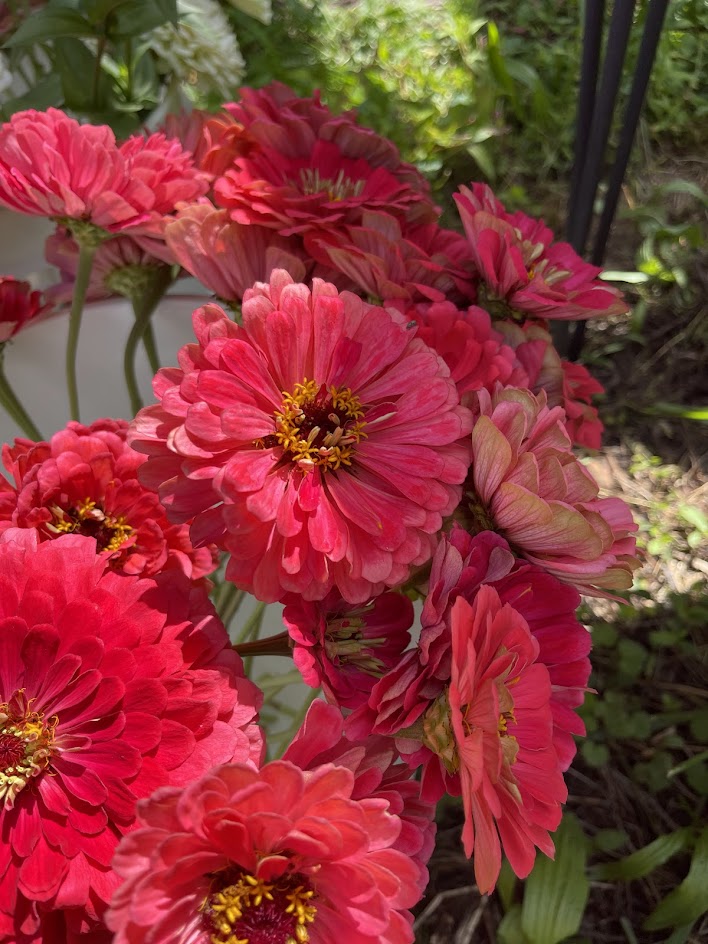 September Flower Subscription (4 Weeks)