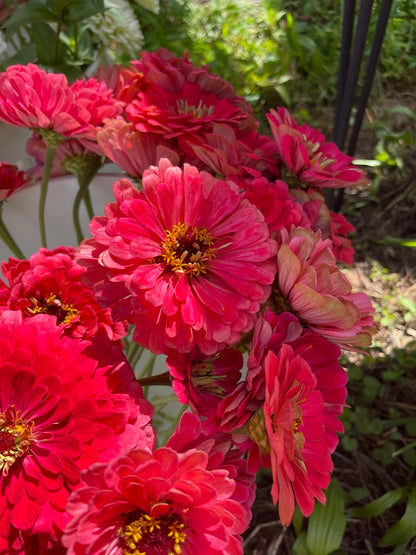 September Flower Subscription (4 Weeks)