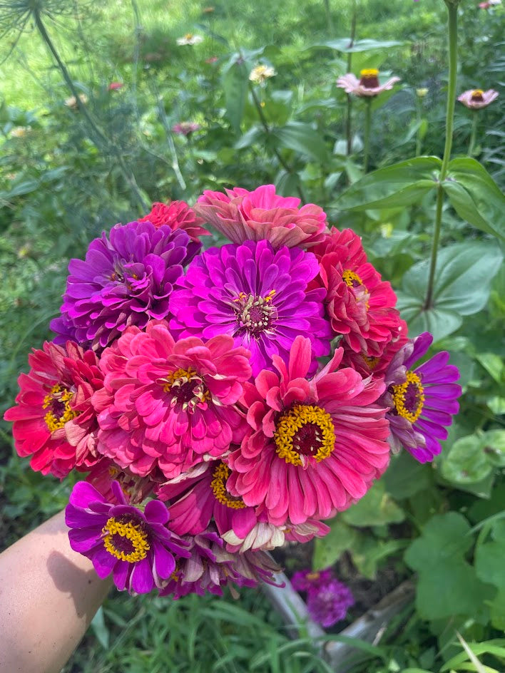 Early Summer Flower Subscription (6 Weeks)