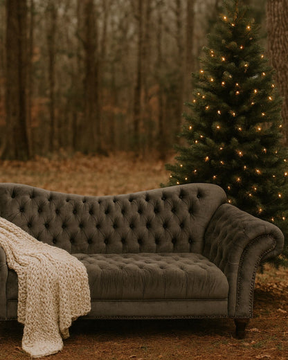 Elevated BYOC Christmas Mini Photo Sessions