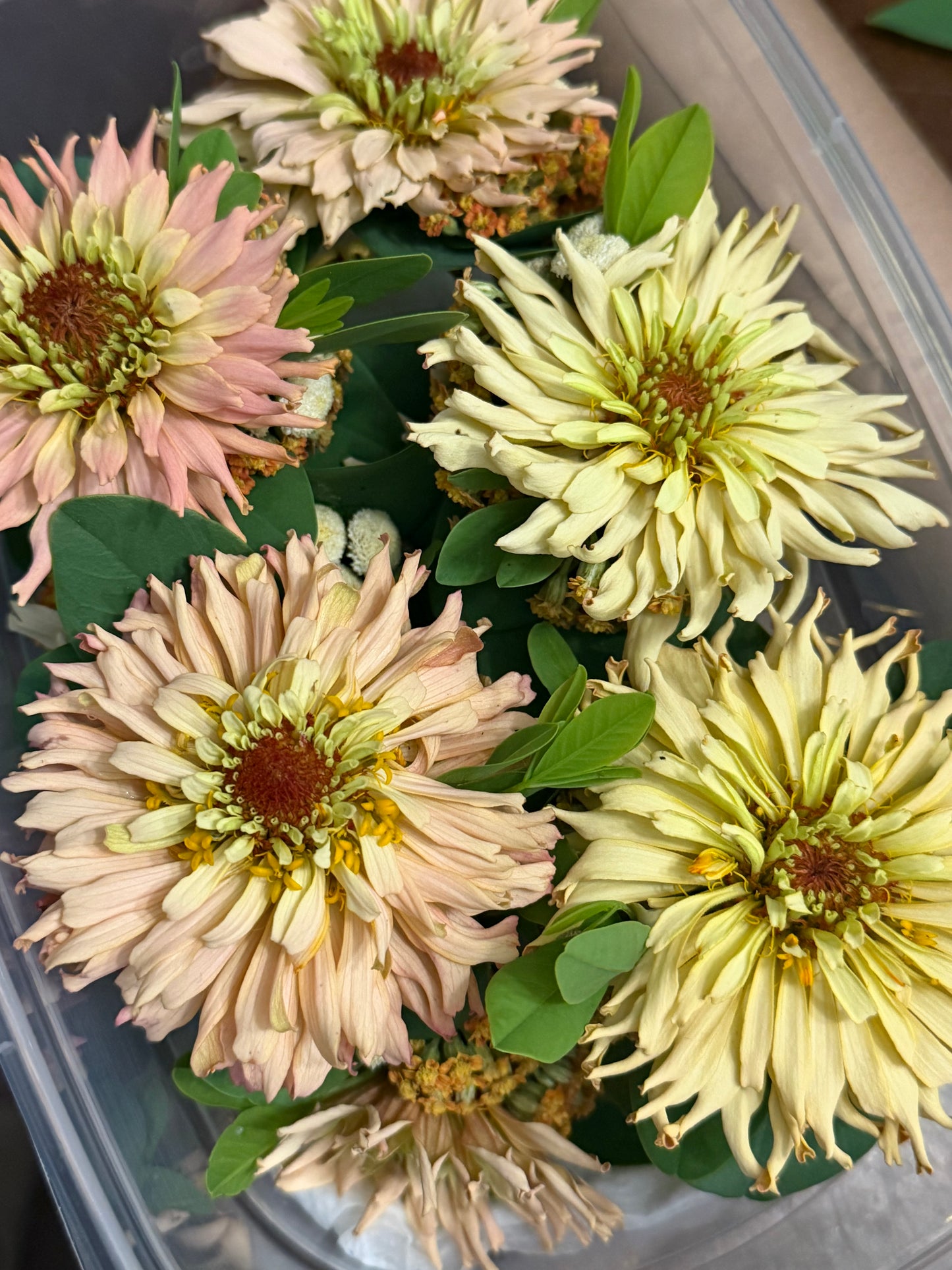 Corsage