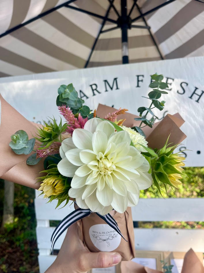 October Dahlia Subscription (4 Weeks)