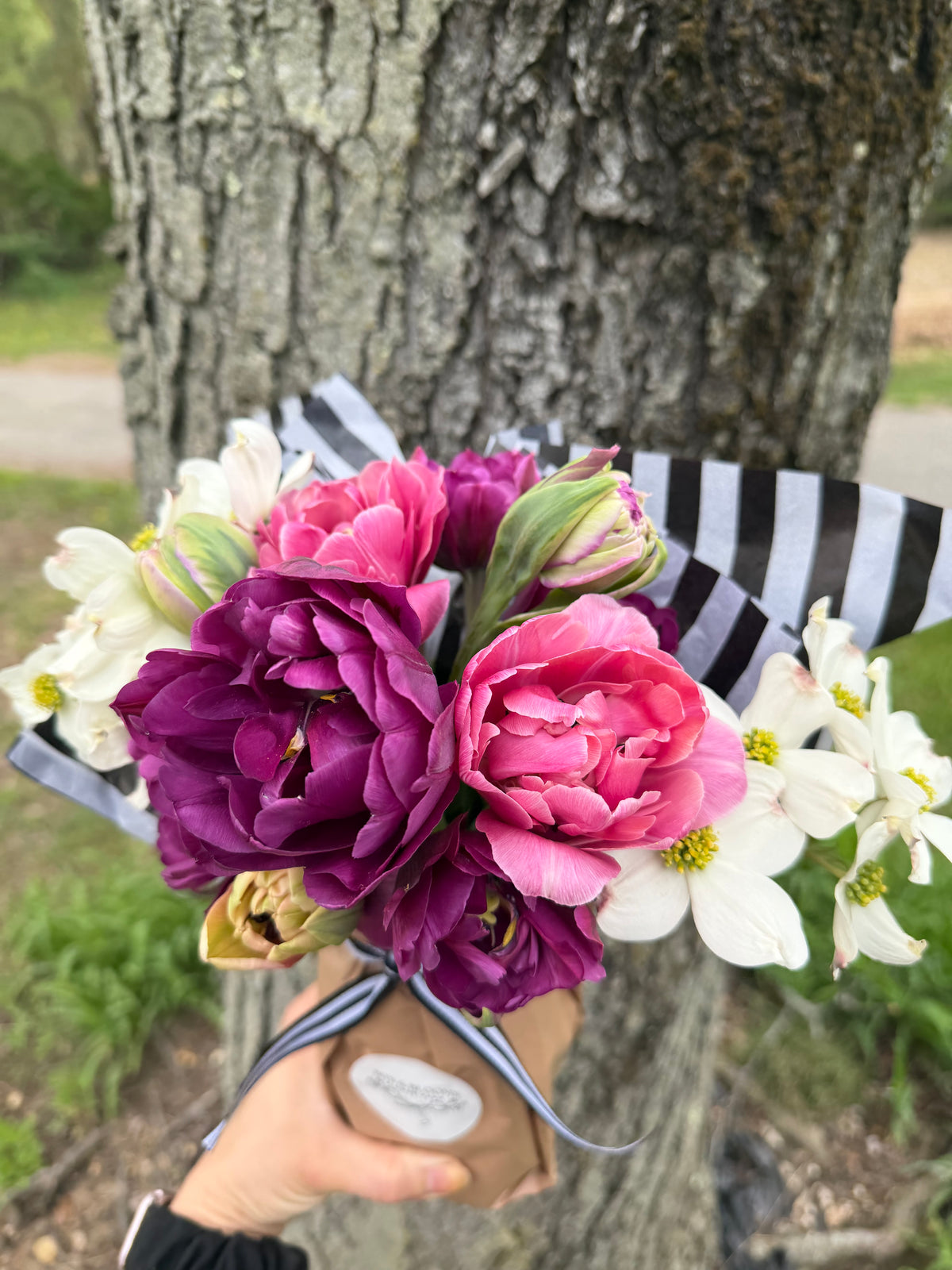 Specialty Double Peony Tulip Bulbs — 10-Bulb Pack