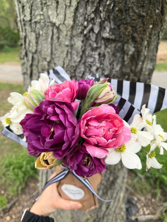 Specialty Double Peony Tulip Bulbs — 10-Bulb Pack