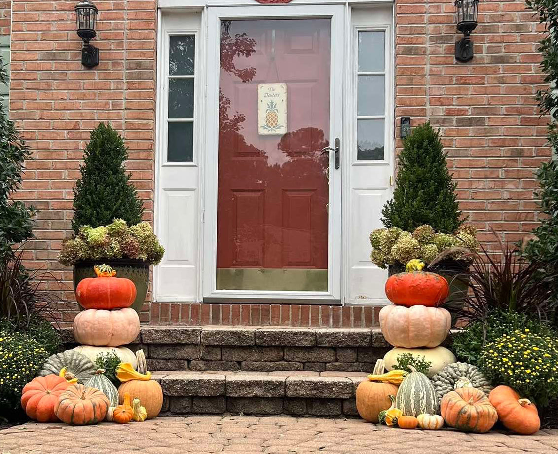 The Front Steps Pumpkin Bundle