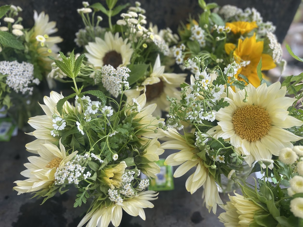 Early Summer Flower Subscription (6 Weeks)