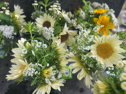 Early Summer Flower Subscription (6 Weeks)