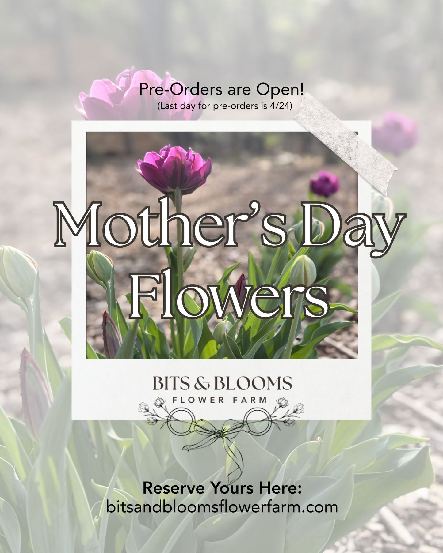 Mother’s Day Bouquet Pre-Order — Locally Grown & Hand-Wrapped