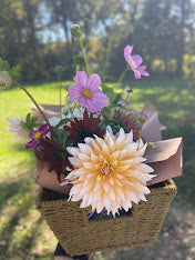 October Dahlia Subscription (4 Weeks)