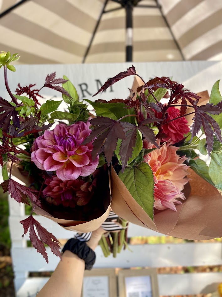October Dahlia Subscription (4 Weeks)