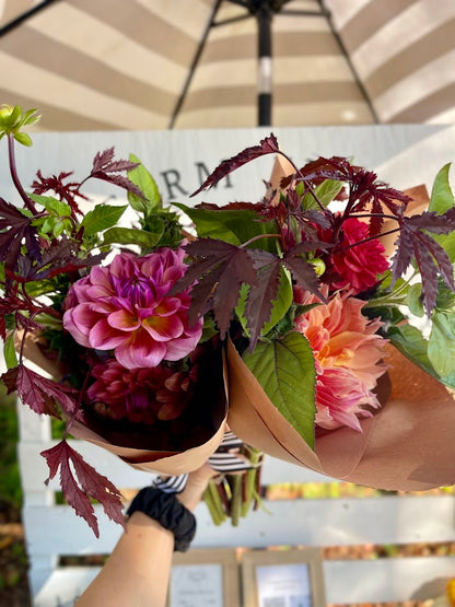 October Dahlia Subscription (4 Weeks)