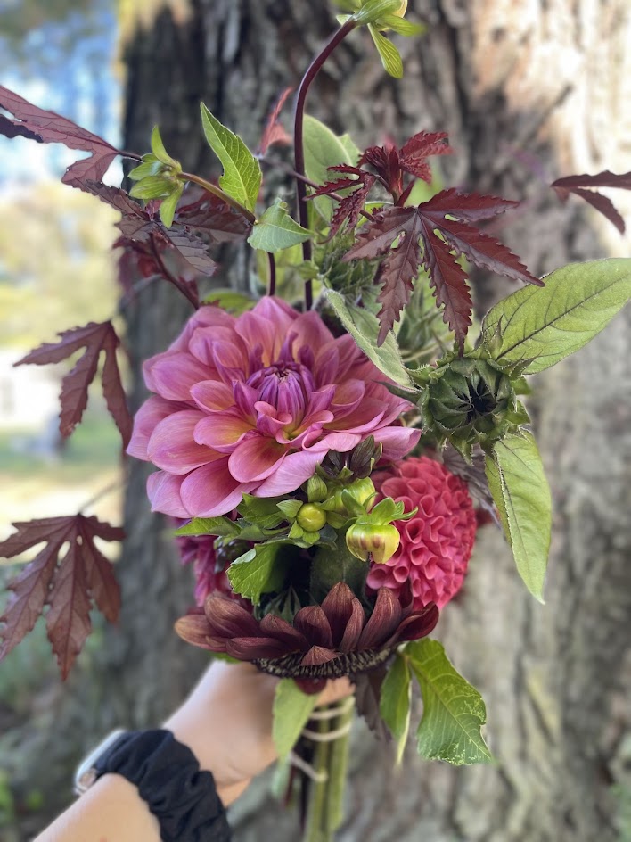 October Dahlia Subscription (4 Weeks)