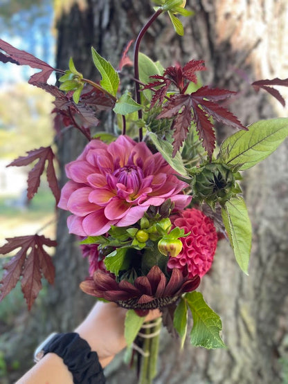 October Dahlia Subscription (4 Weeks)