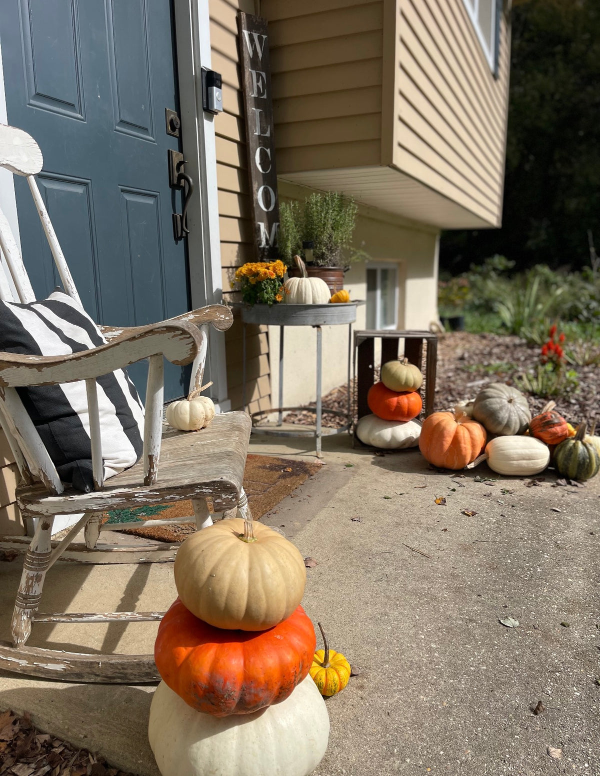 The Entryway Pumpkin Bundle