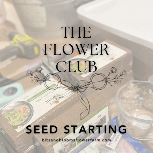(8.17-8.22) Cool Flower Seed Starting: Week of August 17th to 22nd