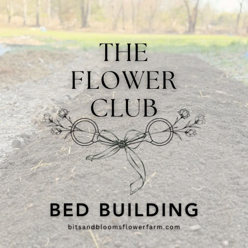 (8.31) Bed Building: Week of August 31st to September 5th