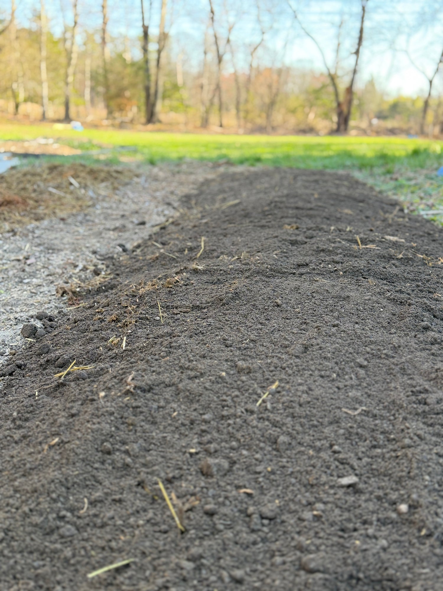 Mound of dark soil with grass sprigs on a blurred natural background. Row ready for flowers at Bits  Blooms Flower Farm.