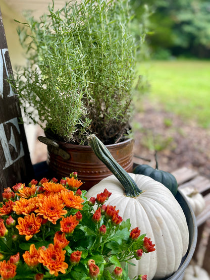 Porch Installation & Styling