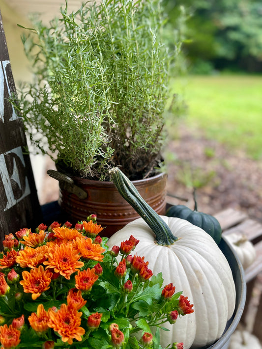 Porch Installation & Styling