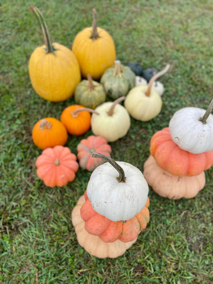 The Full Porch Pumpkin Bundle