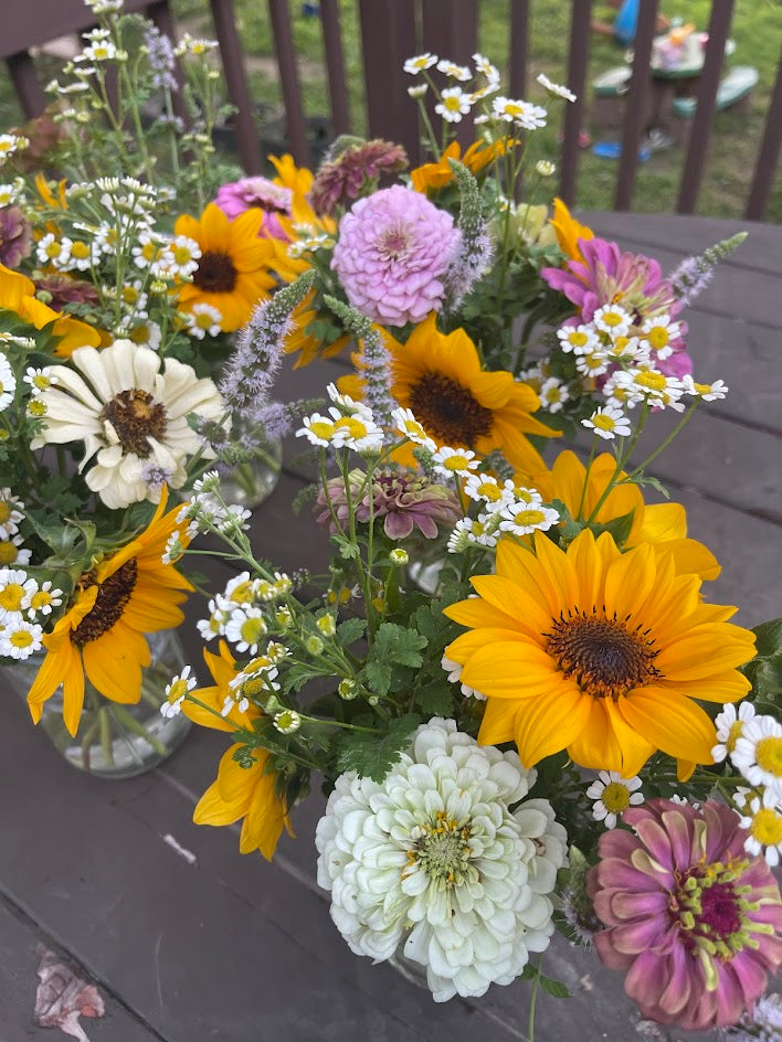 Early Summer Flower Subscription (6 Weeks)