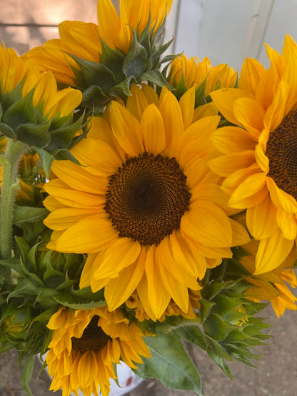 Early Summer Flower Subscription (6 Weeks)