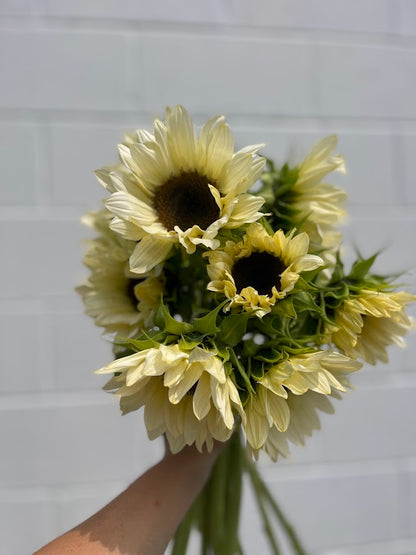 Early Summer Flower Subscription (6 Weeks)