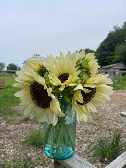 Early Summer Flower Subscription (6 Weeks)
