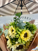 Farmer's Choice ProCut Sunflower Seedlings (4-Pack)