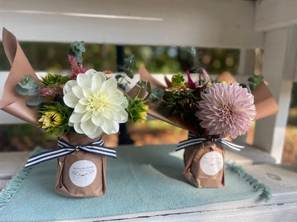 October Dahlia Subscription (4 Weeks)